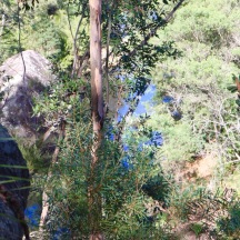 Looking down to Glenwood Creek
